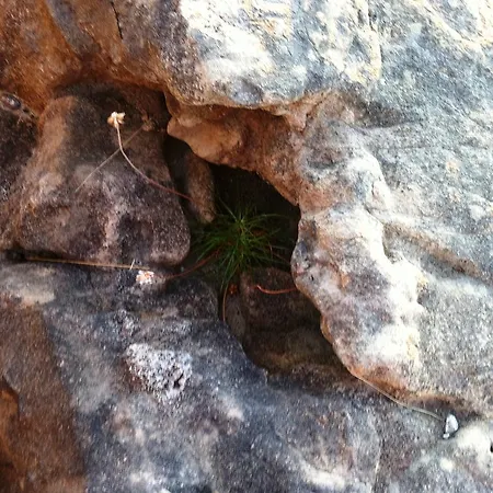 Creevy Cottages Holiday home *