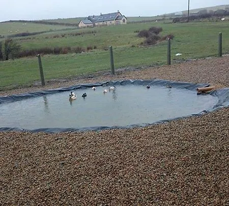 Holiday home Creevy Cottages *