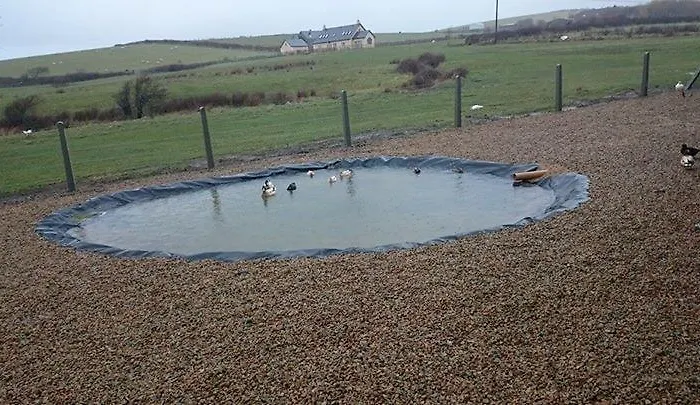 Nyaraló Creevy Cottages *