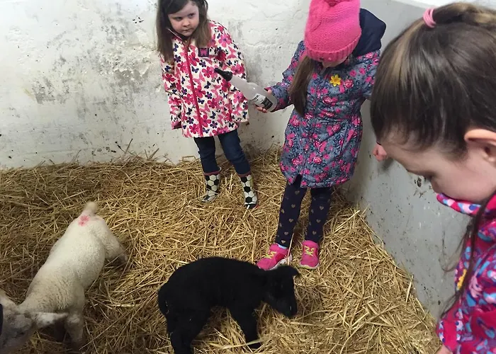 Creevy Cottages Nyaraló *